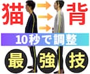 猫背を自分で10秒で矯正できる最強矯正技を教えます 体の軸の第一人者が、発見した10秒でできる猫背姿勢矯正法 イメージ1