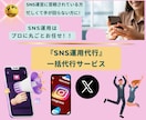SNSコンテンツ制作＋運用一括代行します SNSマーケティング戦略＋コンテンツ作成＋運用代行サービス イメージ8