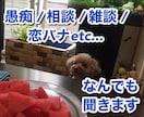 愚痴/相談/雑談/恋バナ/一児の母が何でも聞きます 前向きな気持ちになれるようサポート致します イメージ1