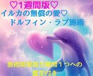 1週間版♡イルカの大きな無償の愛エネルギー届けます 【毎日簡易鑑定付】恋愛/仕事/お金…心に幸せの隙間作ります♡ イメージ1