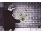 お気に入りのお写真を独創的なアート作品にします 現役の絵描きが唯一無二の世界観で線を紡ぎアートに昇華させます イメージ10