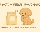 犬の食事やフードの不安を一緒に整理します 今のごはんが合っているか 迷っている方へ イメージ4