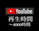 YouTube収益化！再生時間増やします ＋1000～＋4000時間をご提供いたします イメージ1