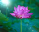 本来の自分に還る遠隔ヒーリングを提供します ～柔らかなエネルギーで溜まった疲れをリセットいたします～ イメージ1
