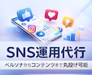 1ヶ月10,000円!tiktok運用代行致します ペルソナ分析から、コンテンツ作成まで一貫して行います！ イメージ1