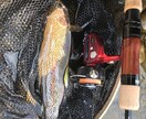 北海道のルアー渓流釣りのコツ色々おしえます 難しいルアーでの渓流釣りをサポートします！ イメージ3