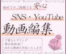 YouTube動画を編集いたします ショート動画・長尺動画もご相談ください イメージ1