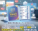 初心者向け｜SNS×アフィリエイトガイド提供します 顔出し不要・スマホで収益化を目指す実践ロードマップ イメージ3