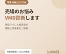 売場写真10枚で診断／現役VMDが課題を改善します 「なんとなく」を数字と写真で「ここが原因」に変えるVMD診断 イメージ1