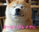 としこの部屋⭐秋田犬があなたのペットになります ⭐看板犬が、雑談・愚痴・恋愛…ご希望のお話をお聴きします⭐ イメージ5