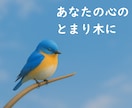 名前を呼ぶホオポノポノであなた専用の癒しを届けます 話しても話さなくても大丈夫。ここが、あなたのとまり木に。 イメージ7