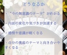 ヒーリー波動調整します ホメオパシーでストレスパターンの解放 イメージ6