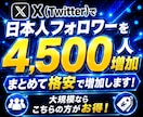 Twitterで4,500人の日本人増やします X ツイッターの日本人フォロワー4,500人を拡散増加！ イメージ2