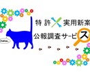 日本国内の特許・実用新案公報を調査します 思いついた技術や気になる技術に関し公知な内容を知りたい時に！ イメージ1