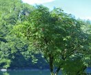 なんでも良いので話し相手になります 敬語ではなくフレンドリーに話します^_^ イメージ1