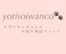チャット相談でワンちゃんのお悩みに寄り添います 動物看護師に病気や生活のこと、何でもご相談下さい♪ イメージ1