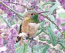 お手持ちの写真を加工して色鉛筆イラストに変換します 画像加工を施し、柔らかいタッチの楽しい色鉛筆画に仕上げます イメージ1
