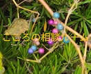 ささやかな幸せ発見のお手伝いします 暇つぶしや愚痴などの話し相手します! イメージ1