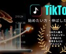 実績のあるプロが【SNS戦略をコンサル】します 100万人越えインフルエンサーの元アシスタントがご提案 イメージ1