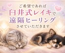 貴方の大切な動物の気持ち占います 西洋タロットでチャネリング霊視鑑定致します イメージ2