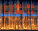 ノイズ除去、整音、レベル調整します 高精度のノイズ除去で、クリアーにします！ イメージ1