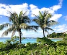 沖縄移住＆留学したい方、相談に乗ります お子様のインターナショナルスクール、住むエリアのアドバイス イメージ1