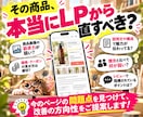 EC商品ページの改善点と優先順位を診断します 売れない原因はデザイン？競合・価格・訴求まで分析します イメージ2
