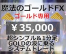 積み上げ型トレード法『魔法のゴールドFX』教えます 一目で分かる超シンプルトレード【35000円終了迄残り1名】 イメージ1