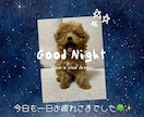 夜のひととき。お話をお聞きします どんなお話でも大丈夫です⭐️眠れない夜にも寄り添います⟡☾ イメージ2