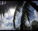 沖縄の海や風景の映像や写真撮影できます 沖縄までの撮影費用を経費削減！プロ現場経験者が撮影します。 イメージ1