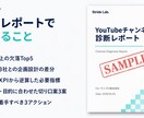 YouTubeチャンネル診断で原因特定します 【無料PDF 配布中】 現役ディレクターが業種×目的で診断 イメージ2