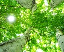 全集中でお話うかがいます あなたに寄り添い、受け止めます。１分からでもお気軽に！ イメージ9