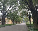海外から帰国される方！アドバイス致します 帰国後小学生、中学生のいるご家庭がスムーズに暮らせるように イメージ1