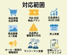 プレミアムプラン・Amazon出品コンサルします 売上を構造から伸ばす戦略設計支援 イメージ4