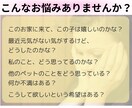 あなたに伝えたい、ペットの気持ち教えます ※あの子はどう思ってる？どうして欲しい？タロットでお伝え イメージ2