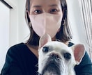 気軽に中国語で会話・雑談できます きっとあなたの中国語のスキルアップに繋がると思います。 イメージ1