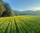 移住相談に乗ります いつか移住したい、でも、、、の不安を一歩前進させる イメージ3