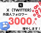 X(Twitter)の外国人フォロワーを増やします 【高品質 & 格安】フォロワーが3000人増えます イメージ1