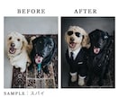 うちの子を衣装チェンジ！AI合成写真を作ります 写真1枚からOK。うちの子を高機能AIでお着替えさせます。 イメージ3