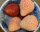 ルチルクォーツのアクセサリーつくります 10ミリ玉ルチルクォーツのアクセサリーを作ります イメージ1