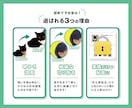 スマホ写真で「うちの子」LINEスタンプ制作します 丁寧な補正と切り抜きで可愛さ最大に。修正5回まで無料対応。 イメージ2
