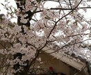 人生の悩み相談現役助産師が、相談アドバイスします 虐待いじめ高校中退から助産師。不登校からむすめを医療者に イメージ1