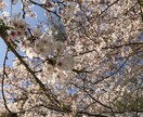 楽になって下さい♡ただただお話聞きます お話して少しでも楽になりませんか？♡ イメージ2