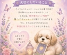 アニマルタロットでわが子の気持ちを読み解きます カードを使って愛するわが子からのメッセージをお伝えします イメージ4