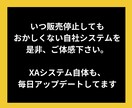 30分労働コピペ作業！半自動化XAシステム配布ます 初心者OK！独自副収入構築システムXAシステムを限定配布。 イメージ10