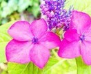 あなたの話し相手や愚痴や恋愛や心の悩みを聞きます 色々な相談を受けた経験から少しでも気持ちを楽にしてあげたい イメージ3