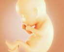 快適なマタニティライフの過ごし方アドバイスします 妊娠中の体の変化や心の変化について不安なあなたへ イメージ2