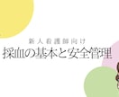 看護師教育向け採血マニュアルチェックリストあります 新人看護師向け採血マニュアル｜基本手技と安全管理がわかる資料 イメージ2