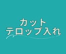 動画のテロップ入れ・カットします 僕に編集作業のお手伝いをさせて下さい イメージ1