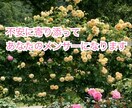 不倫・再構築♡占い&心理支援♡あなたに寄り添います 不倫発覚・再構築どうすればいいの？一人で悩まないで！ イメージ3